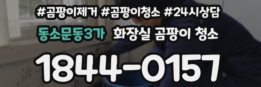 동소문동3가 화장실 곰팡이 청소