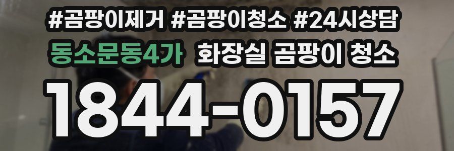 동소문동4가 화장실 곰팡이 청소