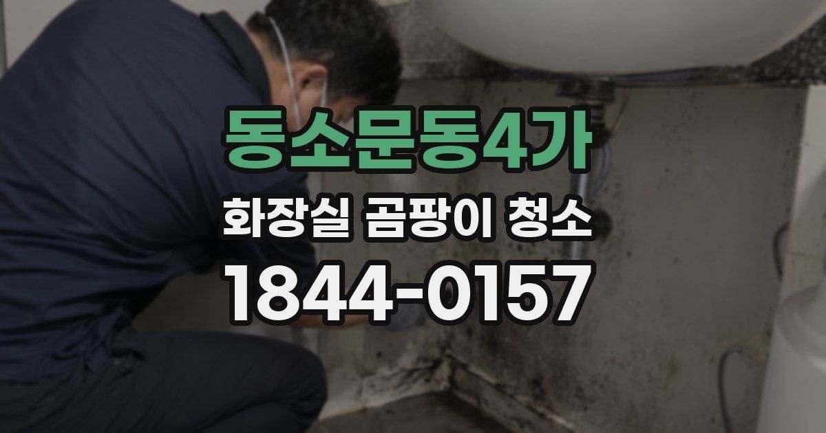동소문동4가 화장실 곰팡이 청소