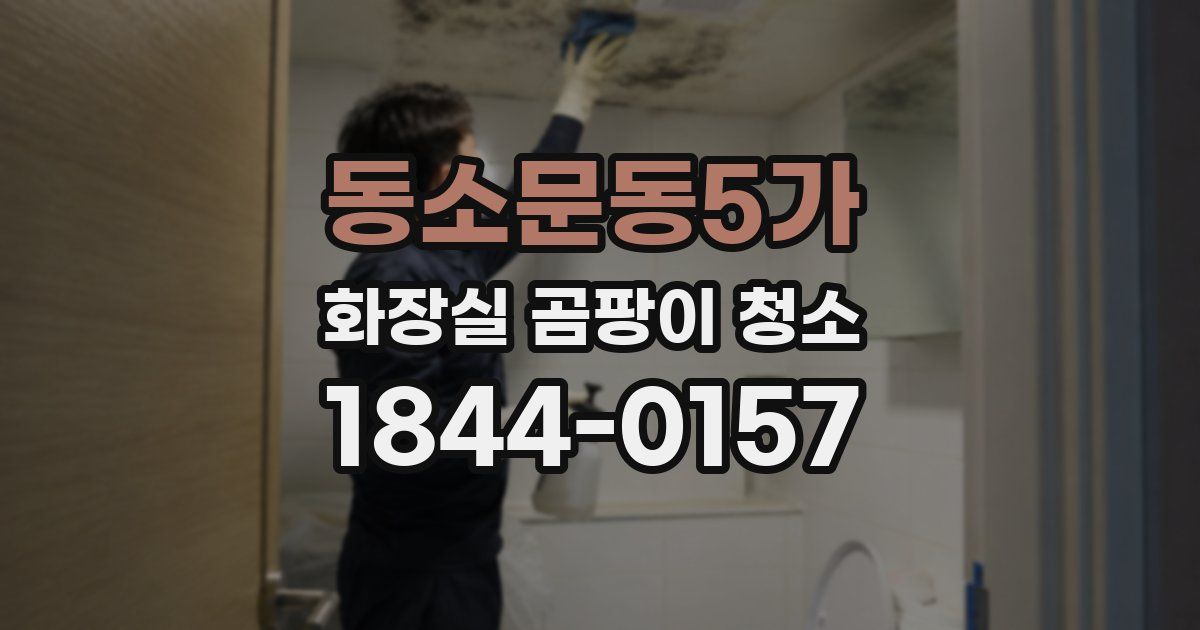 동소문동5가 화장실 곰팡이 청소