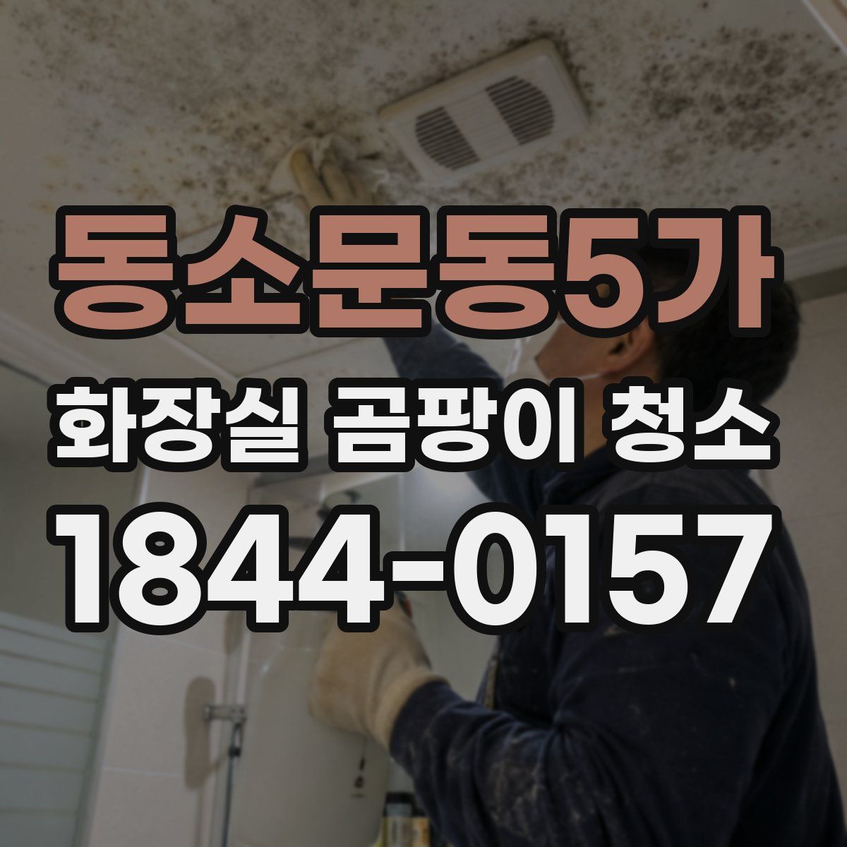동소문동5가 화장실 곰팡이 청소