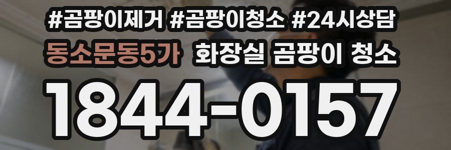 동소문동5가 화장실 곰팡이 청소