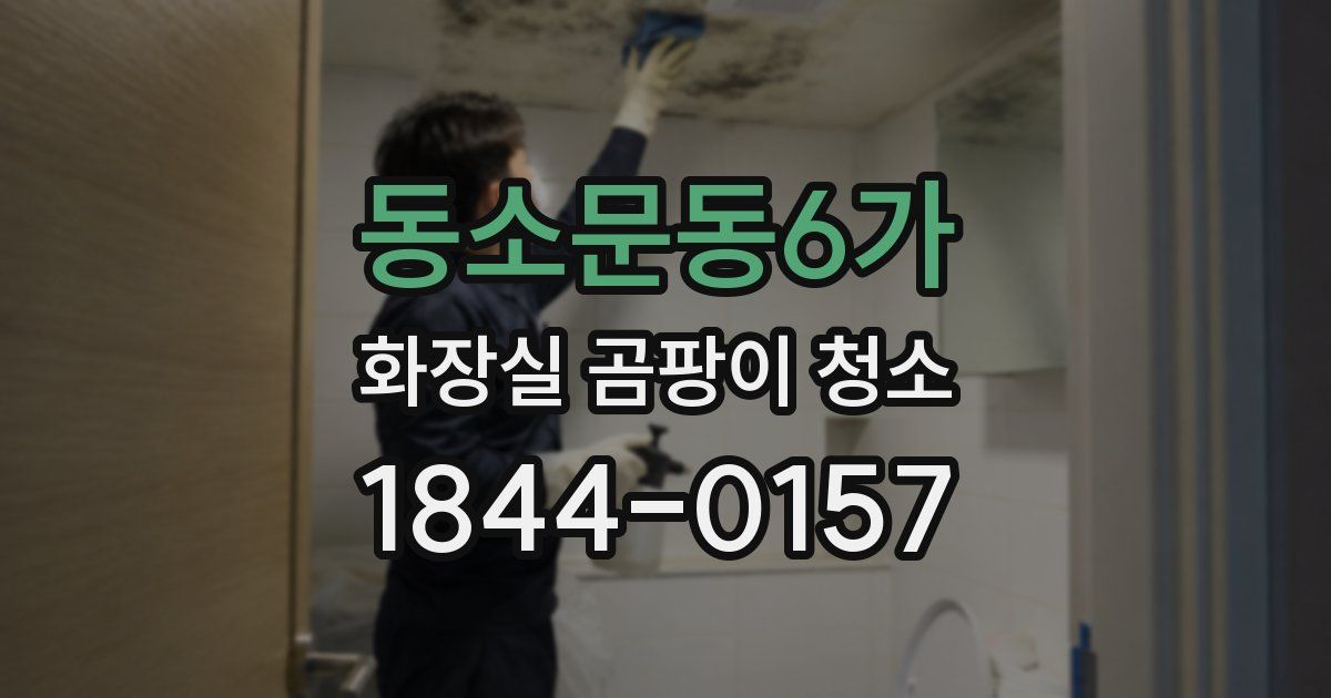 동소문동6가 화장실 곰팡이 청소