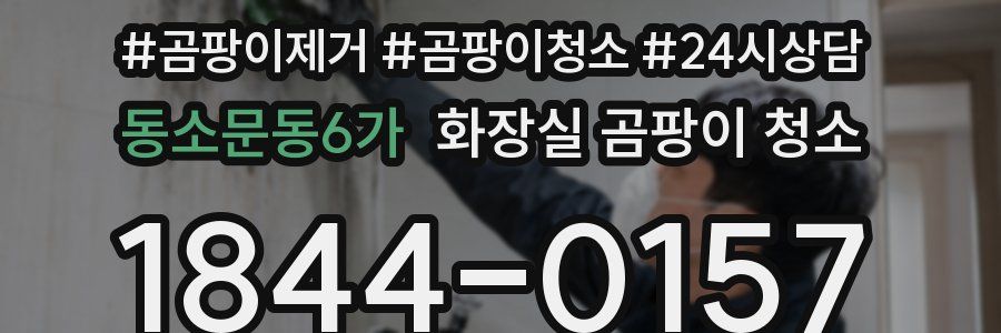 동소문동6가 화장실 곰팡이 청소