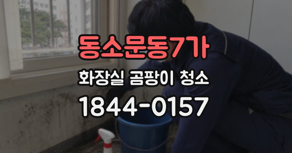 동소문동7가 화장실 곰팡이 청소