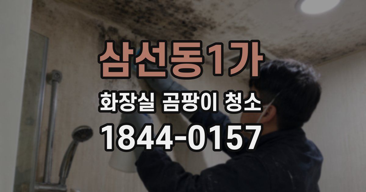 삼선동1가 화장실 곰팡이 청소