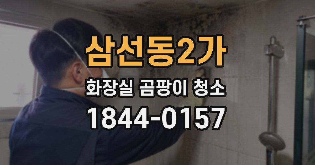 삼선동2가 화장실 곰팡이 청소