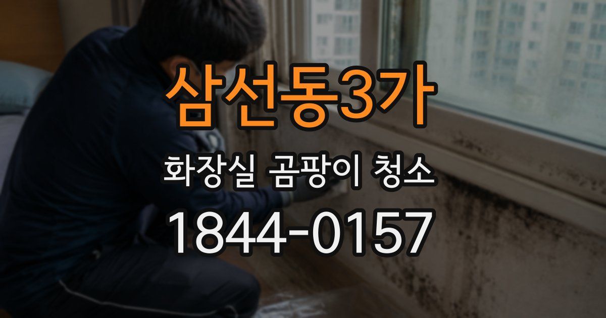 삼선동3가 화장실 곰팡이 청소
