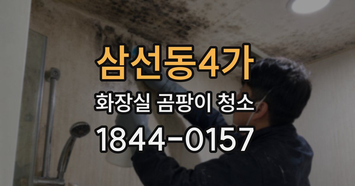 삼선동4가 화장실 곰팡이 청소