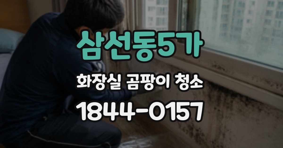 삼선동5가 화장실 곰팡이 청소