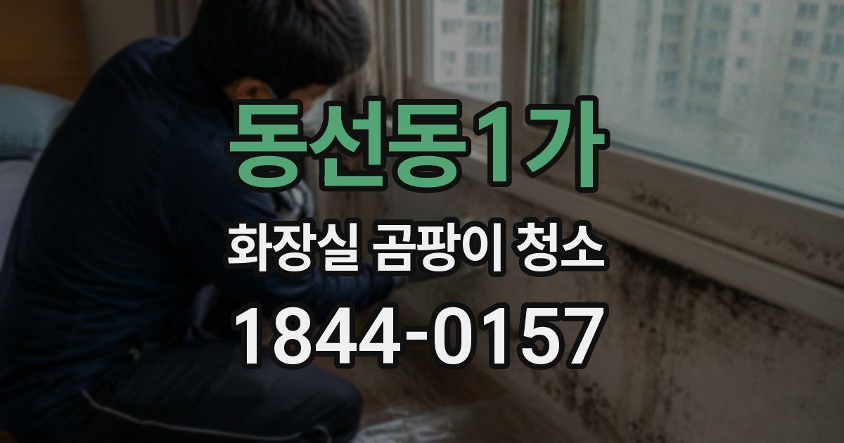 동선동1가 화장실 곰팡이 청소