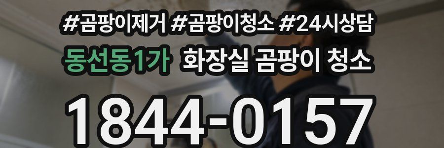 동선동1가 화장실 곰팡이 청소