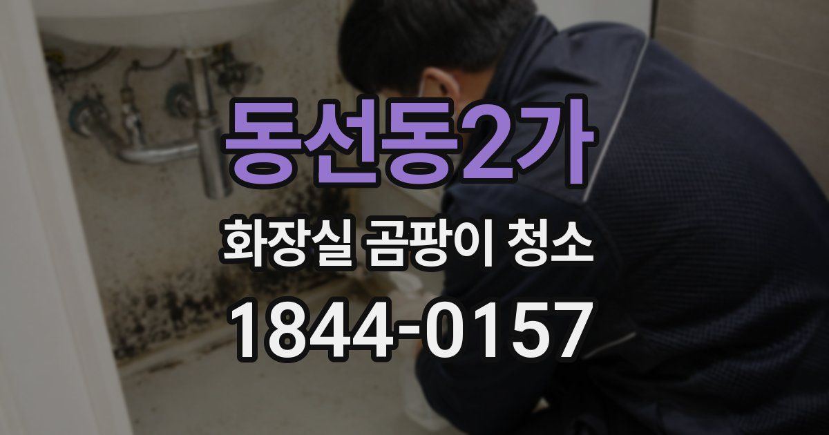 동선동2가 화장실 곰팡이 청소