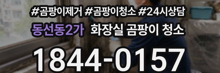 동선동2가 화장실 곰팡이 청소