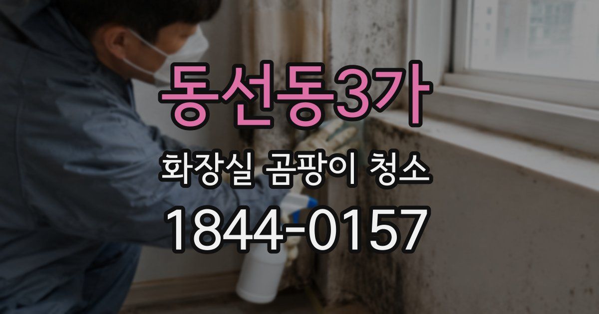 동선동3가 화장실 곰팡이 청소