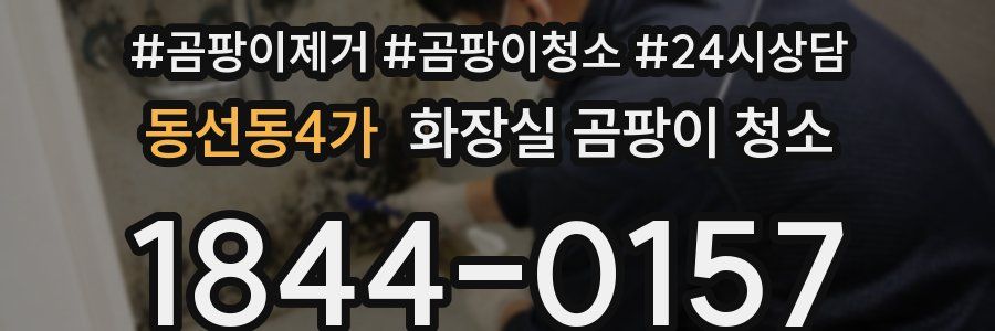 동선동4가 화장실 곰팡이 청소