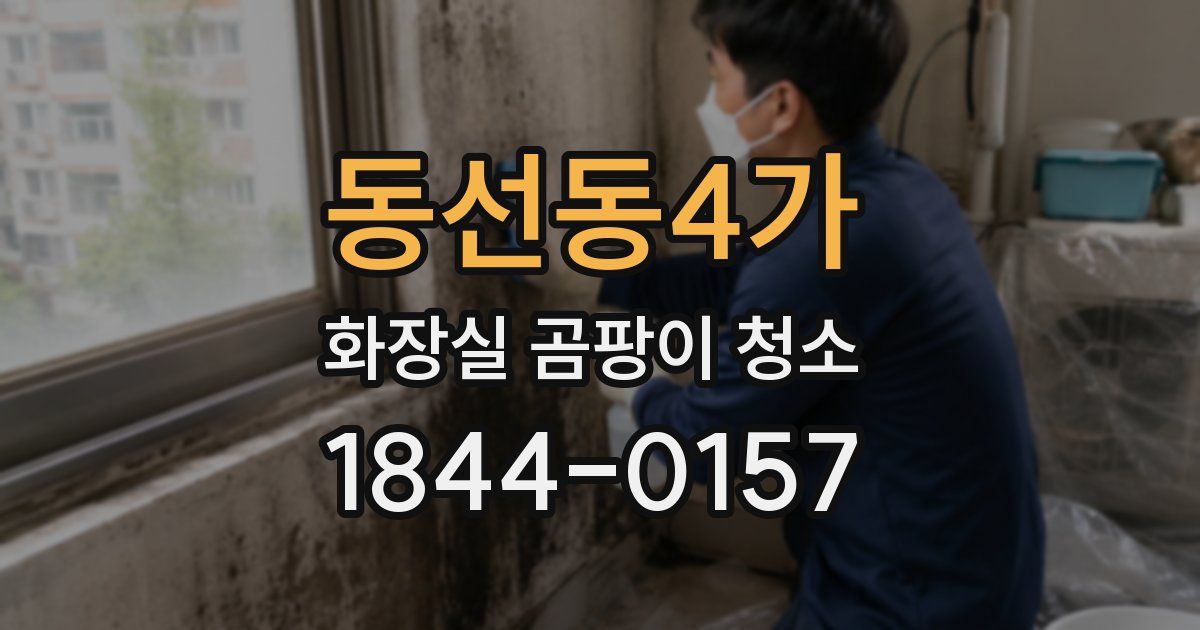 동선동4가 화장실 곰팡이 청소