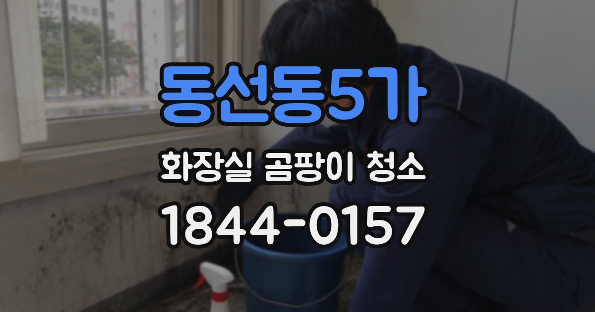 동선동5가 화장실 곰팡이 청소
