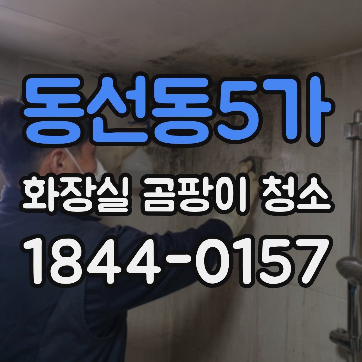 동선동5가 화장실 곰팡이 청소