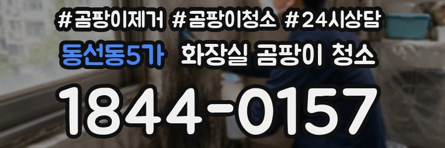 동선동5가 화장실 곰팡이 청소
