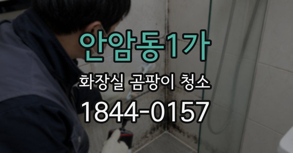 안암동1가 화장실 곰팡이 청소