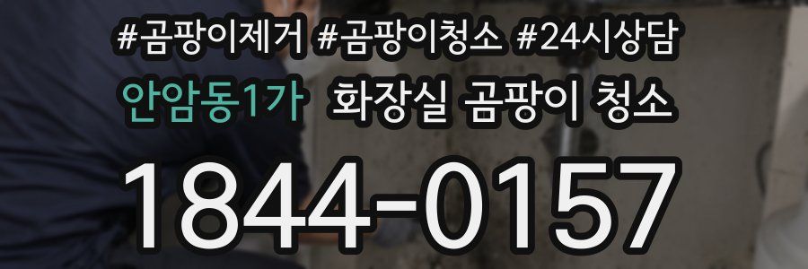 안암동1가 화장실 곰팡이 청소