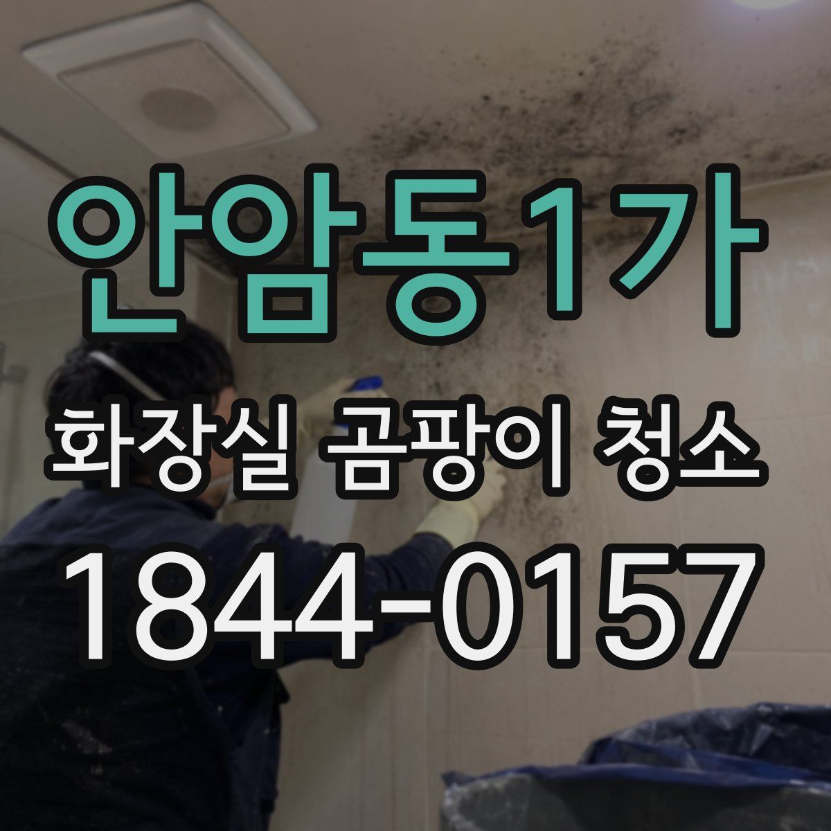 안암동1가 화장실 곰팡이 청소