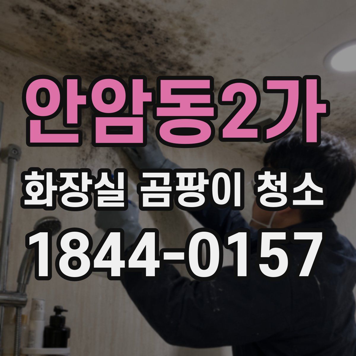안암동2가 화장실 곰팡이 청소