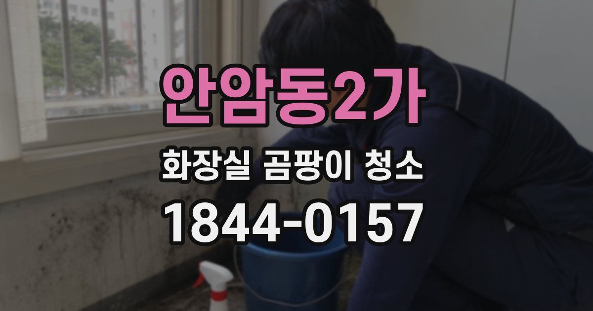 안암동2가 화장실 곰팡이 청소
