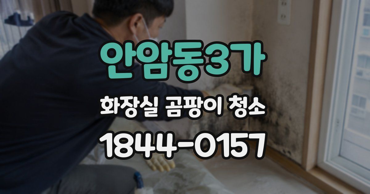 안암동3가 화장실 곰팡이 청소