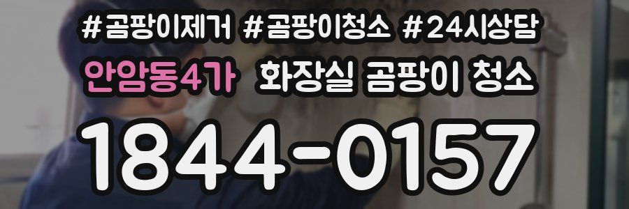 안암동4가 화장실 곰팡이 청소