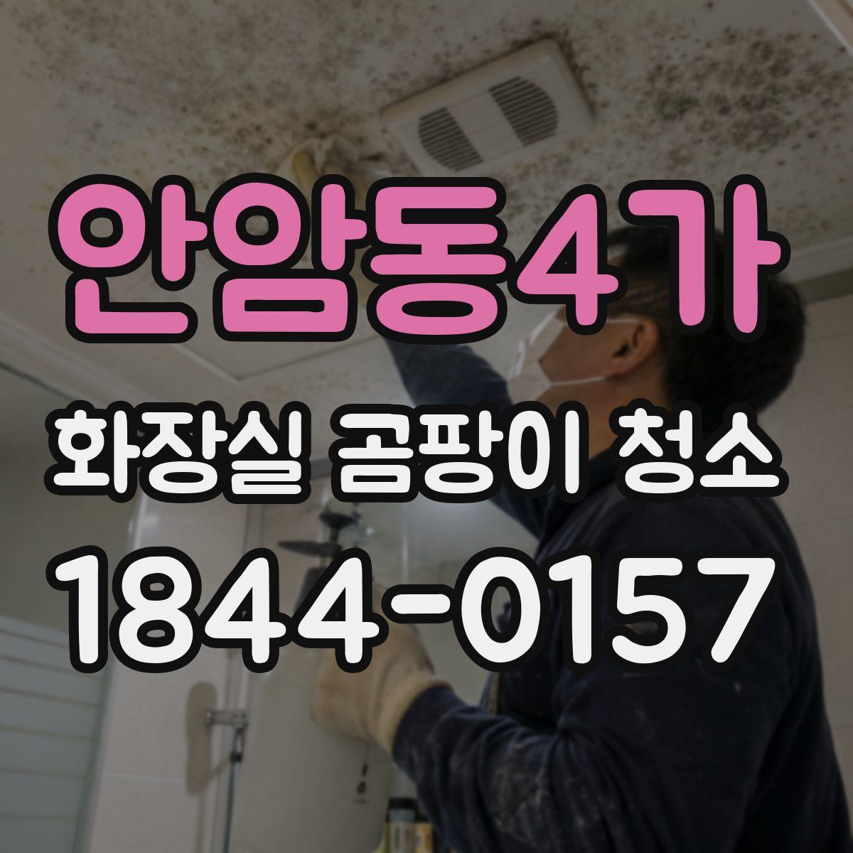 안암동4가 화장실 곰팡이 청소