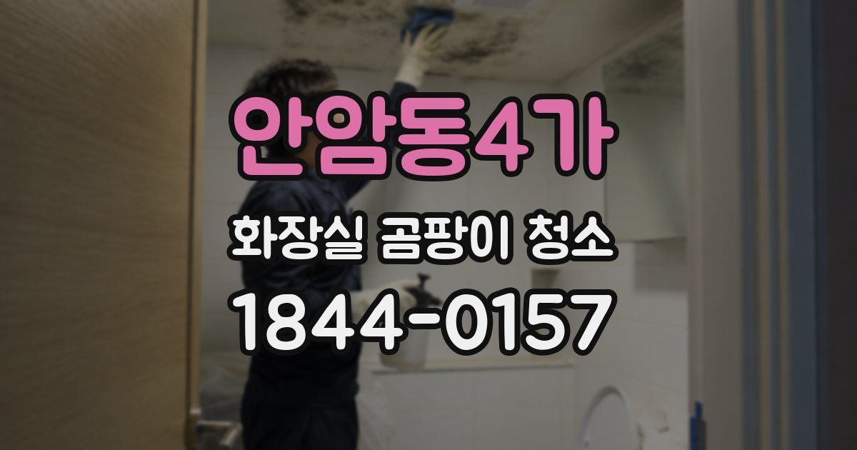 안암동4가 화장실 곰팡이 청소