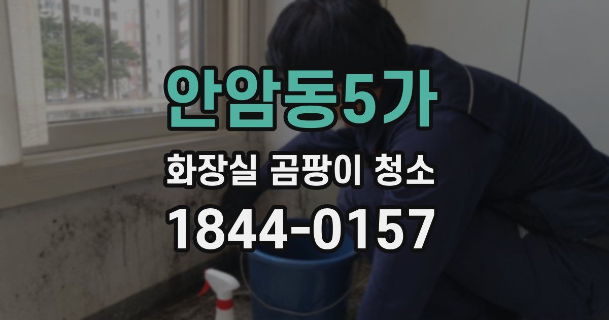 안암동5가 화장실 곰팡이 청소