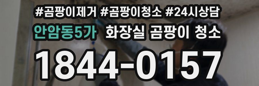 안암동5가 화장실 곰팡이 청소