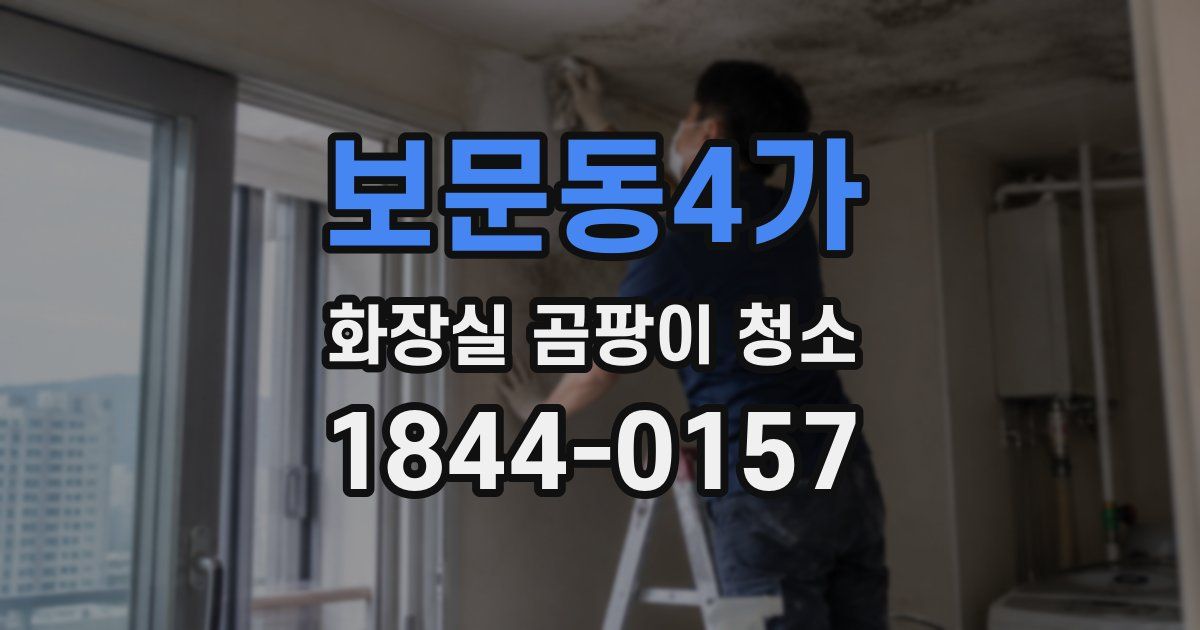 보문동4가 화장실 곰팡이 청소
