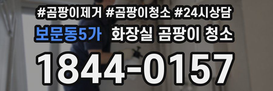 보문동5가 화장실 곰팡이 청소