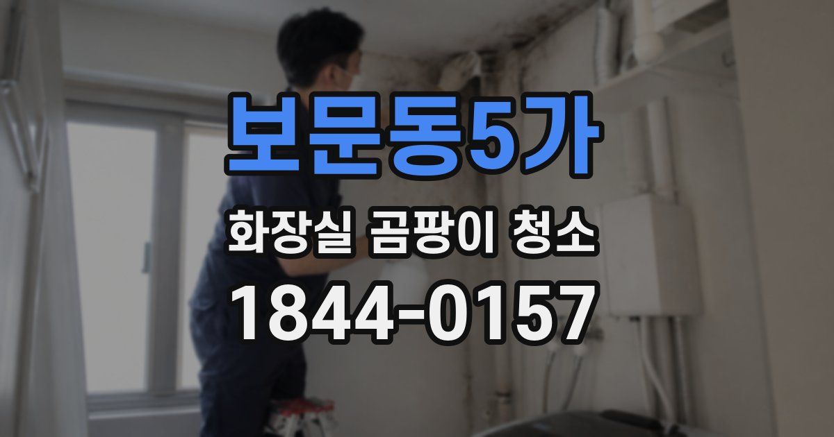 보문동5가 화장실 곰팡이 청소
