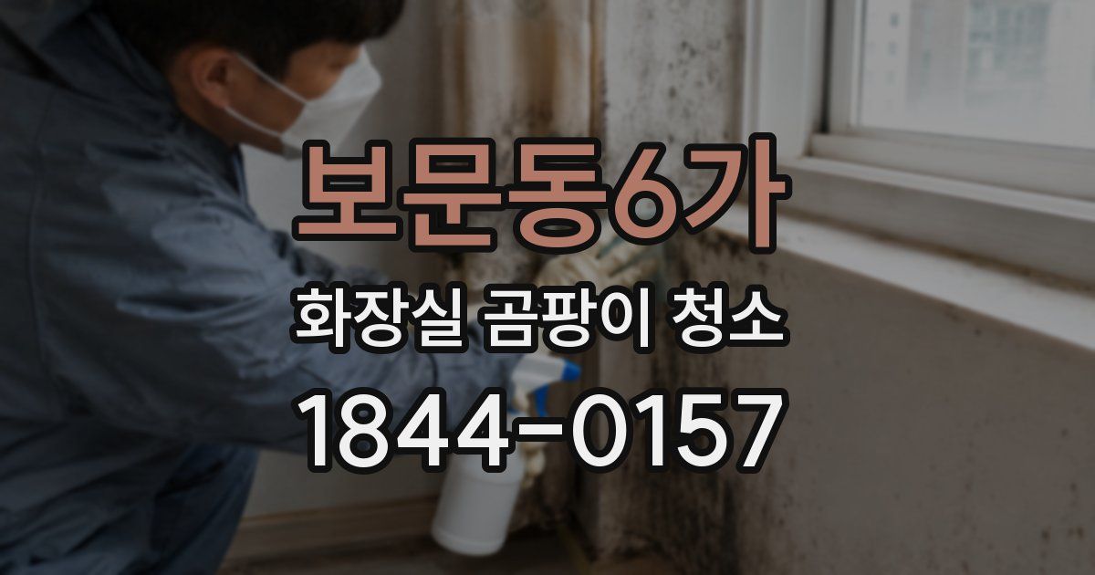 보문동6가 화장실 곰팡이 청소