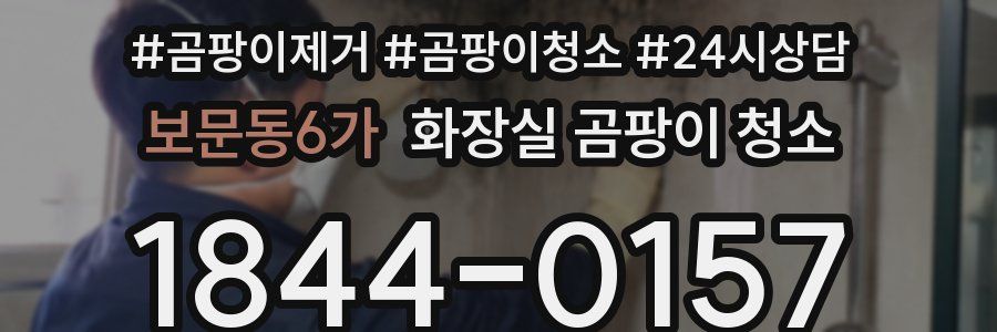 보문동6가 화장실 곰팡이 청소