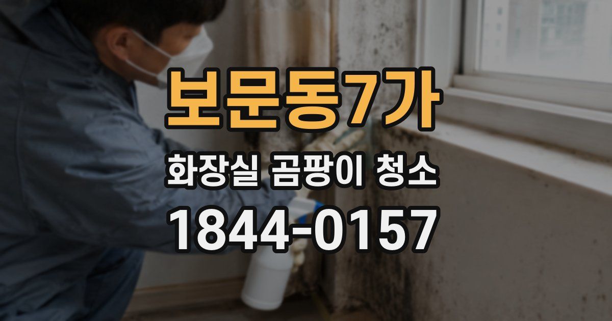보문동7가 화장실 곰팡이 청소