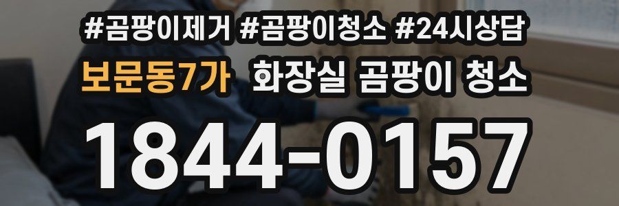 보문동7가 화장실 곰팡이 청소