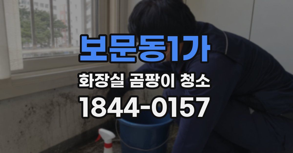 보문동1가 화장실 곰팡이 청소