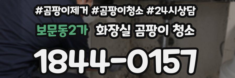 보문동2가 화장실 곰팡이 청소