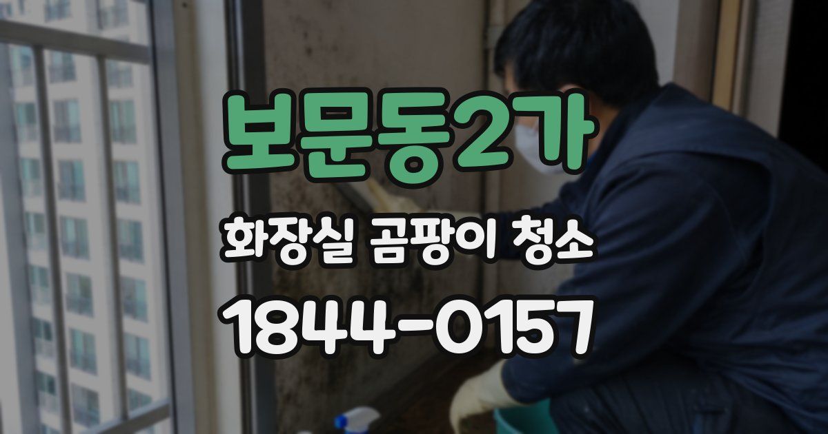 보문동2가 화장실 곰팡이 청소
