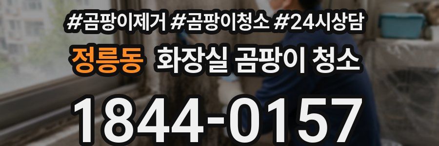 정릉동 화장실 곰팡이 청소