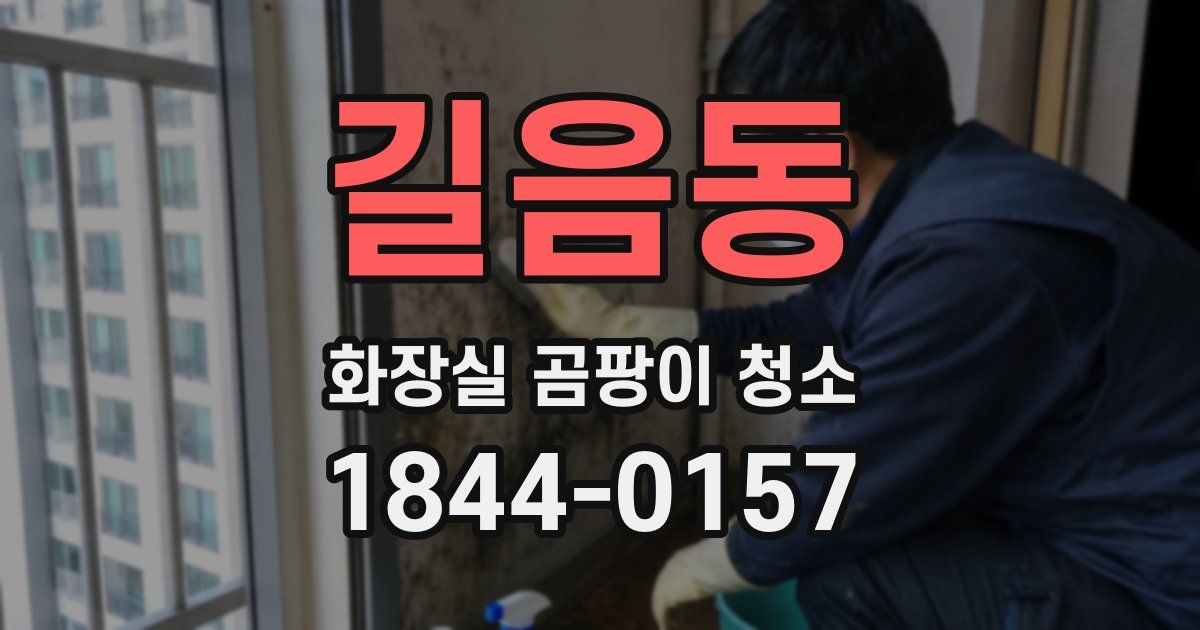 길음동 화장실 곰팡이 청소