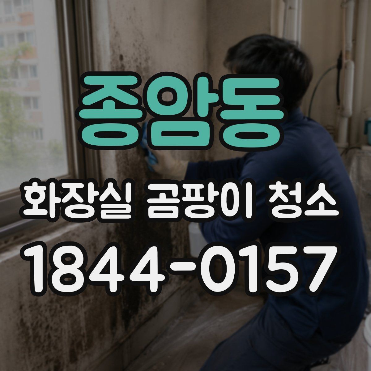 종암동 화장실 곰팡이 청소 세정제 섞어 쓰면 안 되는 이유