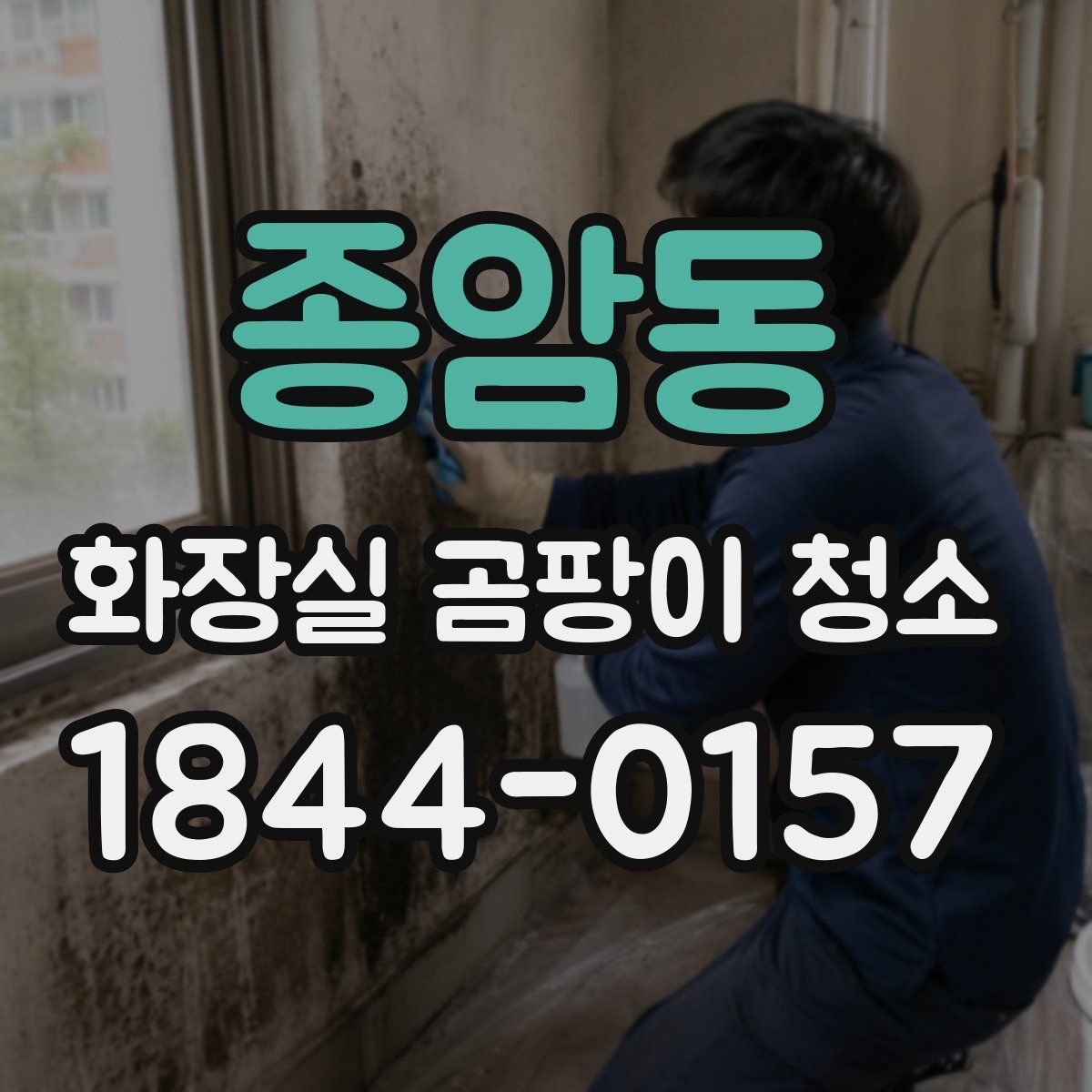 종암동 화장실 곰팡이 청소