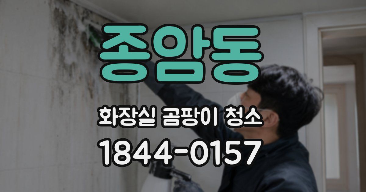 종암동 화장실 곰팡이 청소